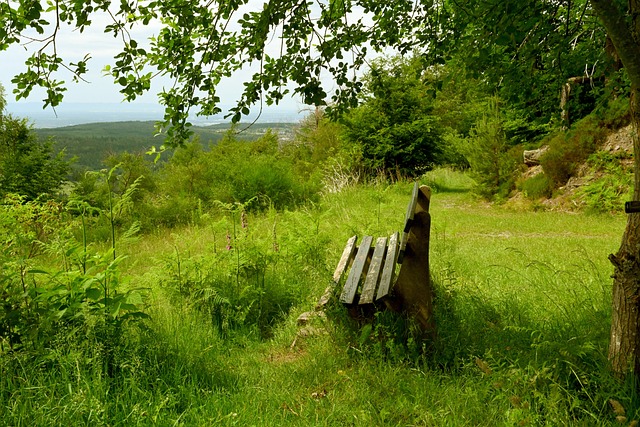他对尤文图 他对尤文图