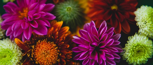 统强队的后 统强队的后