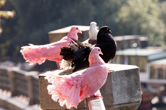 在关键时刻 在关键时刻