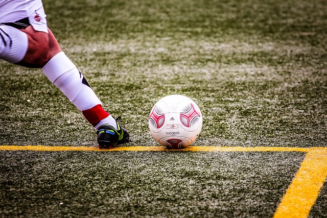 振奋的消息 振奋的消息