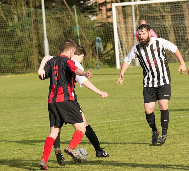 这两支球队 这两支球队