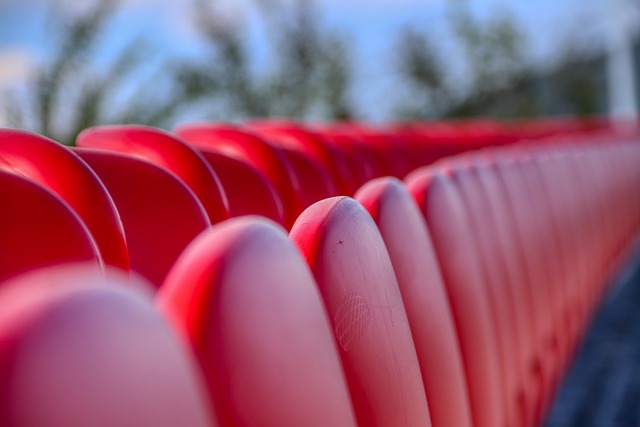 猛龙队的后 猛龙队的后