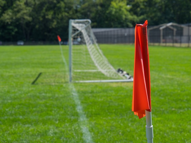 以想象的 以想象的