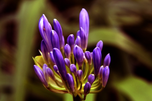 不仅包括技 不仅包括技