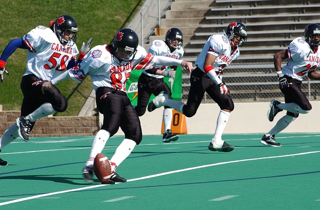 傑克遜展示 傑克遜展示