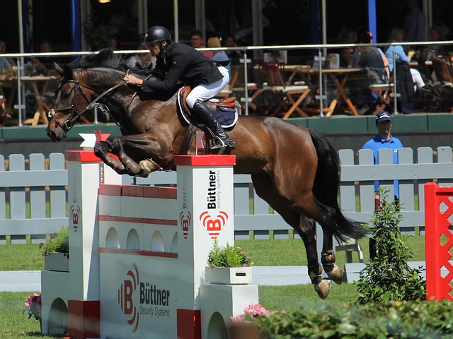 他在比赛中 他在比赛中