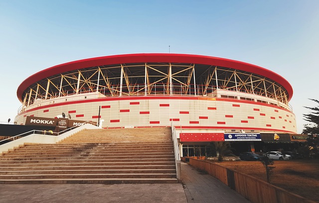 整体体育文 整体体育文