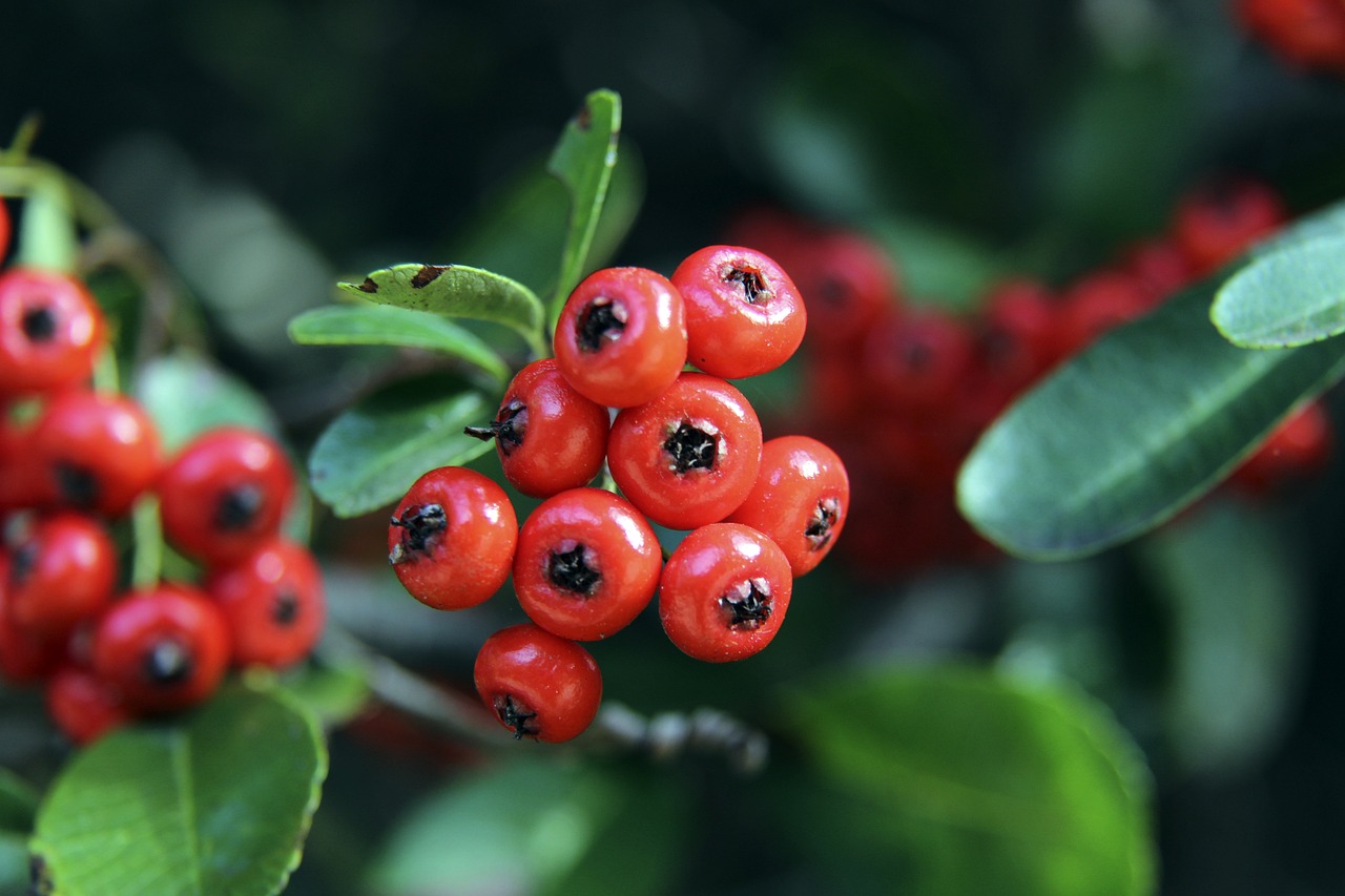 演技与角色 演技与角色