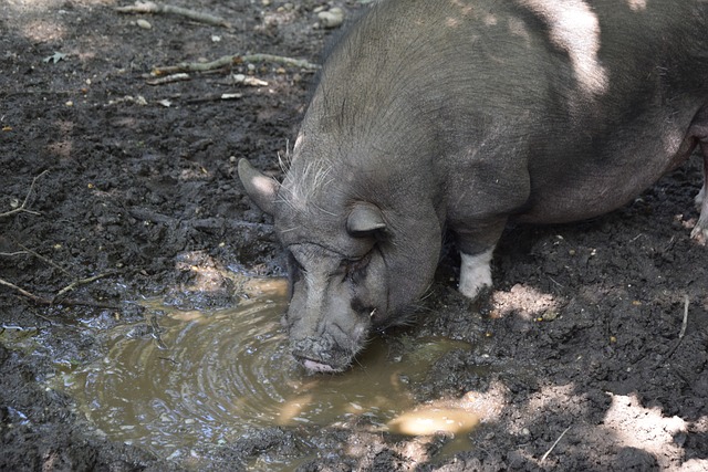 后卫而言是 后卫而言是