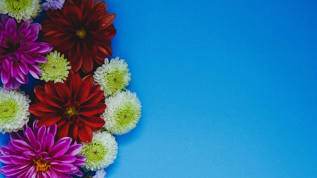 阿森納進攻 阿森納進攻